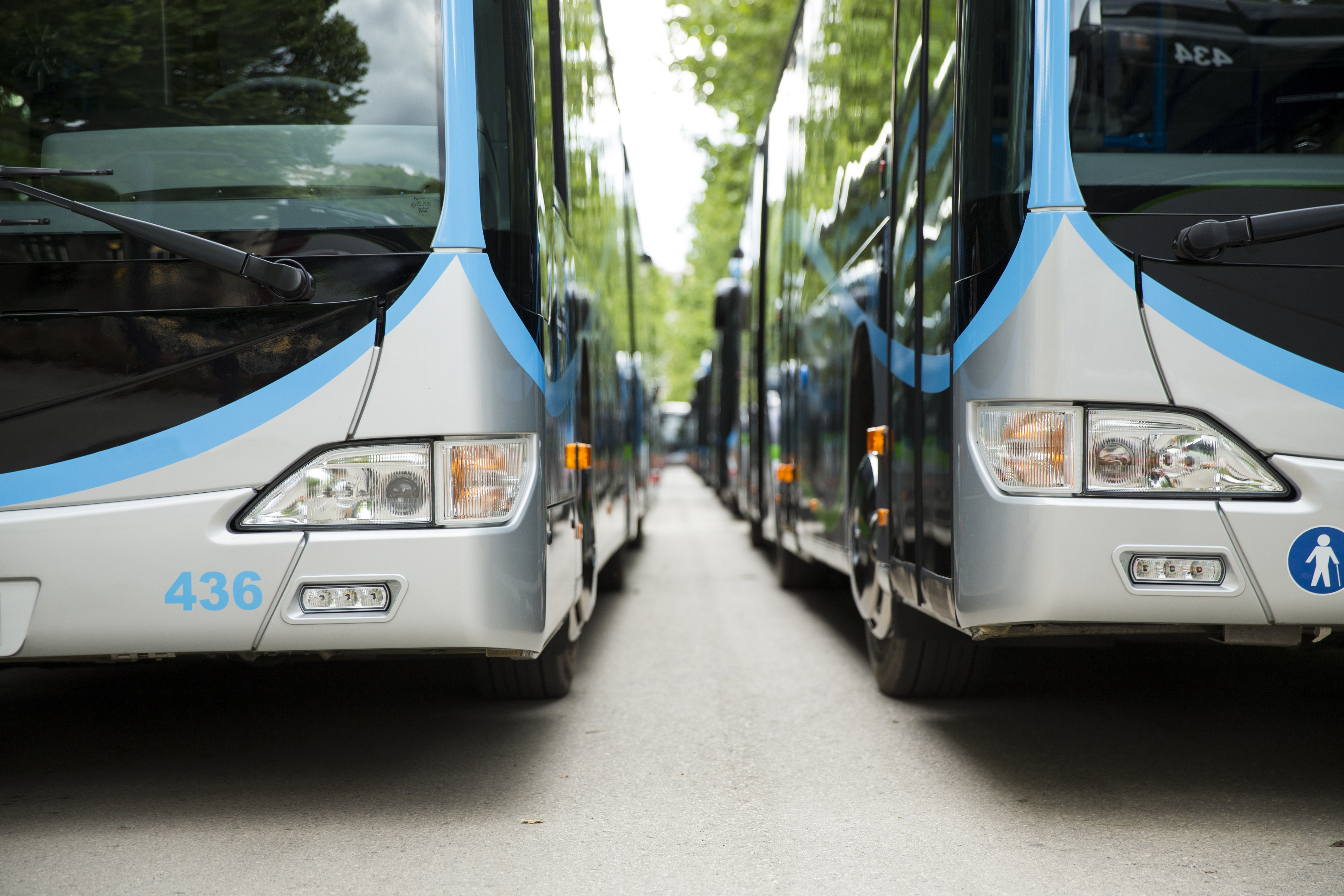 busses in a line