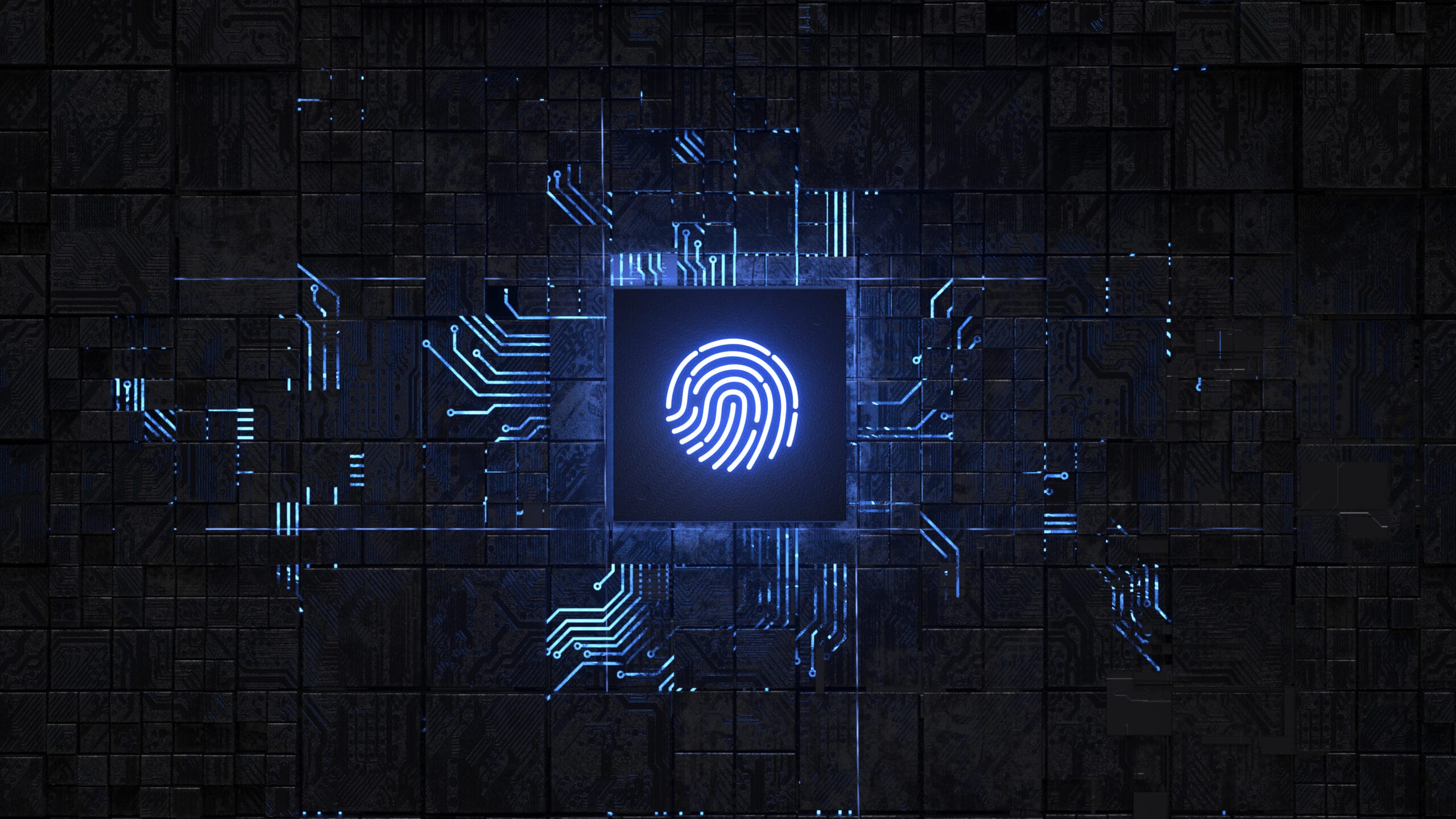 Chip with Fingerprint logo