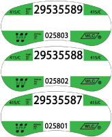 consecutive numbering