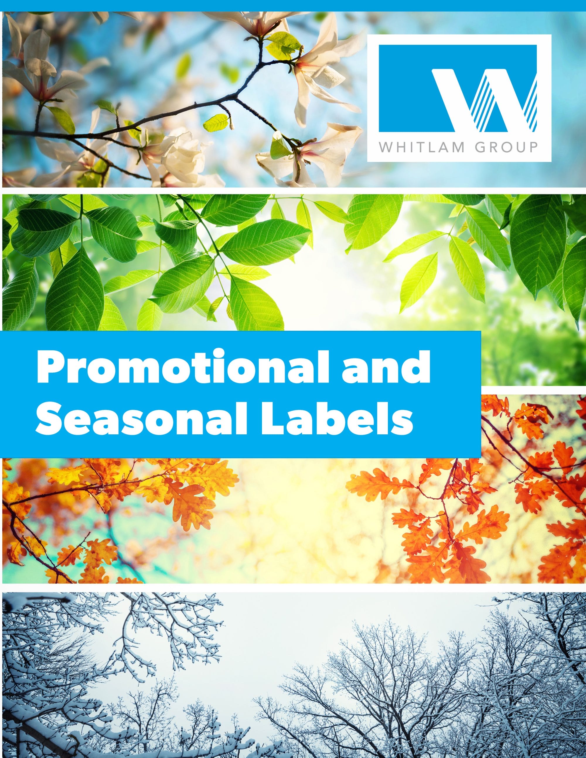 Promotional and Seasonal Labels Infographic